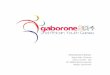 Gaborone 2014 : 2 eme Jeux africains de la jeunesse