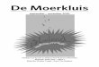 moerkluis 1011 (1)
