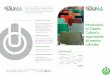ESUMA-Start-Gestion Cultural-Programa-Imprenta