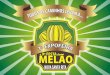Apresentação 1ª expofeira e 9ª festa do melão empresas