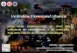 Incêndios Florestais/Urbanos uma visão organizacional (planeamento e execução) | Joaquim Leitão