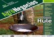 Revista Agronegocios_El Hule