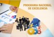 programa nacional de excelencia