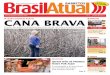 Jornal Brasil Atual - Barretos 02