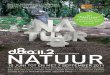 D&A Expo 11.2 - Nature