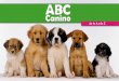 ABC Canino