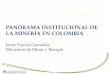 PANORAMA INSTITUCIONAL DE LA MINERÍA EN COLOMBIA