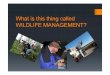 Wildlife Management, definitions, scope, scale – Program at Hedmark University Norway