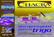 Revista Chacra Nº 930 - Mayo 2008