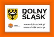 DKO EURO 2012-28.02.11-DSDiK