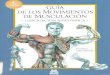 Guia de los movimientos de musculacion descripcion anatomica 4a edicion frederik delavier