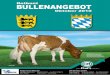 Rotbunt Bullenangebot Baden-Württemberg/Bayern Oktober 2010