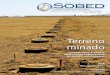 Revista Sobed 2010 - Edição nº 08