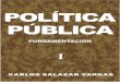 Política Pública:  Fundamentación