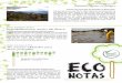 Eco Notas n. 32