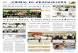 Jornal de Araraquara - Ed. 919 - 04 e 05 de Dezembro de 2010
