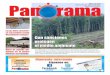 Periódico Panorama Edición No. 50