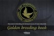 Vandenabeele golden breeding 201420140619112007
