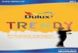 Dulux Trendy 2011