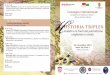 Convegno internazionale Historia Triplex I modelli e le fonti del patriottismo ungherese e croato