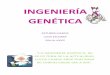 ING. Genetica