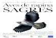 Poster | Cartaz | Curso de Identificação de Aves de Rapina
