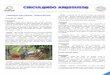 Informativo Circulando Arassussa - Ano 6 - Nº 116