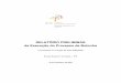 Relatório de Bolonha- Licenciatura em Terapia da Fala 2008-09