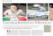 ‘Gestudeerd in Mexico’ doet het goed op je cv