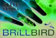 Catalogo Brillbird Nails - premium quality