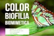 Estudio del color, Biofila y Biomimetica
