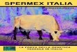 Spermex Italia - German Holstein