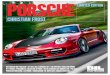 Porsche bog