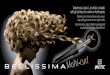 Bellissima Imetec - Curl Styling Guide