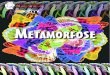 #19 Metamorfose