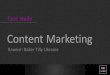 Bt content marketing case study