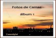 ÁLBUNES DE CAMAS Y CAMEROS 1