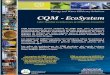 CQM - Ecosystem
