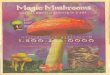 Magic Mushroom Ad
