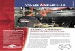 2010-01- Valk Melding- NL