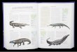 dinosaurios y otros animales prehistoricos