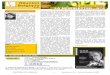 Newsletter n° 4 - Réunion-Belgique asbl