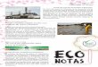 Eco Notas n.33