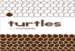 TURTLES BY PROPUEBLO