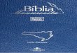 Bíblia Manuscrita - SC - Volume 2