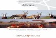 Afrika brochure van Impala Tours