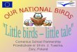 National birds
