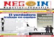 Revista Negocios e Industria Noviembre-Diciembre 2010