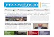 Ed.388 - NOV/2013 - Jornal Fecomércio Informativo