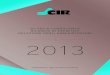 CIR BILANCIO ANNUALE 2013